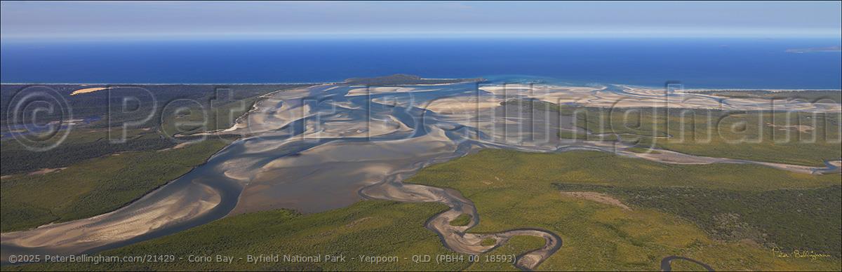 Peter Bellingham Photography Corio Bay - Byfield National Park - Yeppoon - QLD (PBH4 00 18593)
